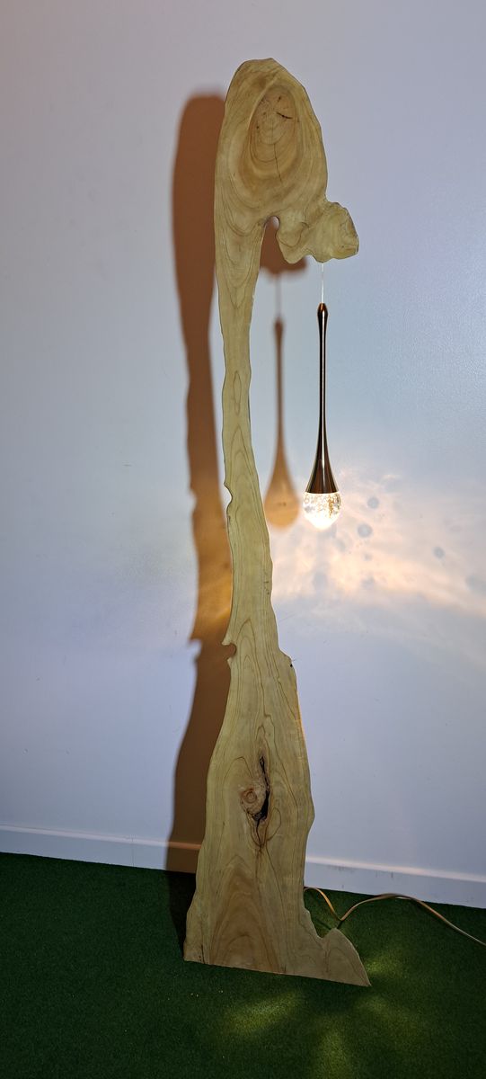 Chlorophylle, pièce nº 35, photo 3 sur 4