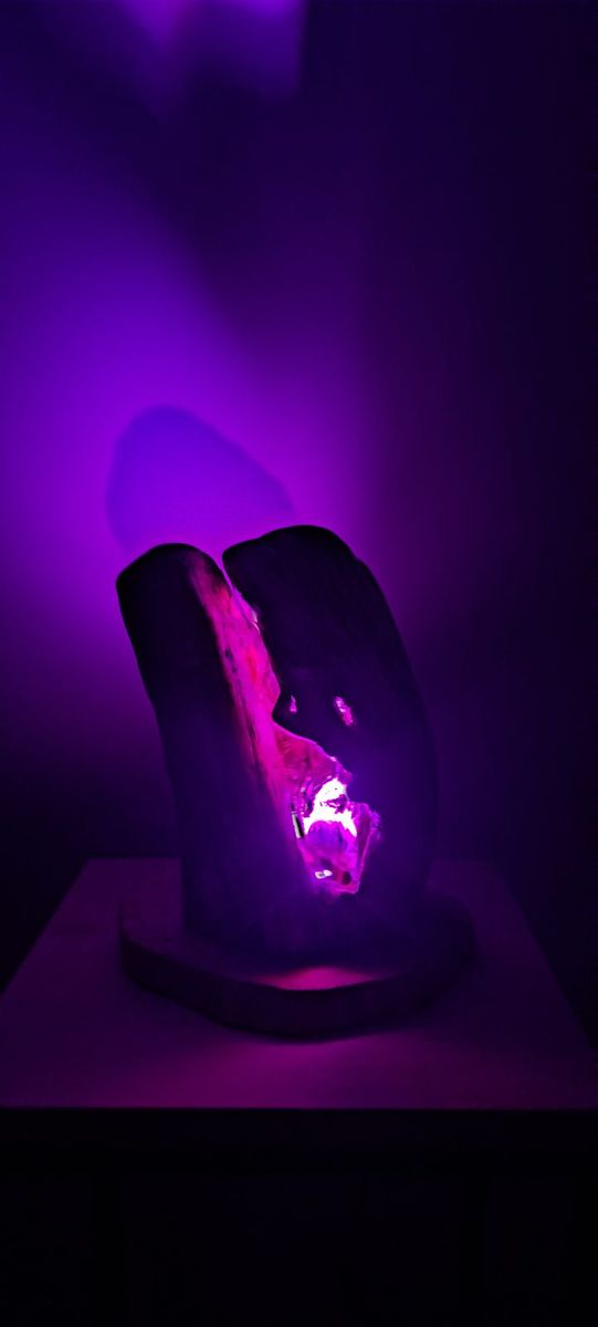 Origine, pièce nº 6, photo 2 sur 4