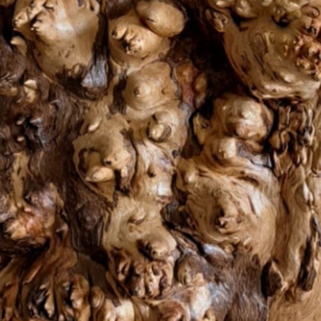 Loupe de bois aux formes singulières
