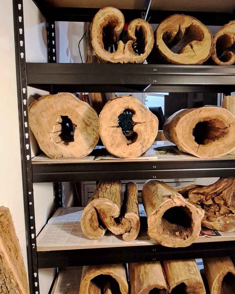 Étagère de bois ramassés en attente d'être travaillés